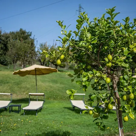 Ground-floor Flat With Pool Near Cortona *